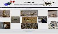 راه اندازی پایگاه داده ScorpDb  
